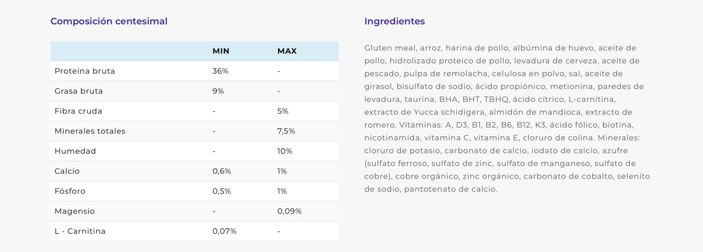 Therapy Obesity Management Gato 2 Kg