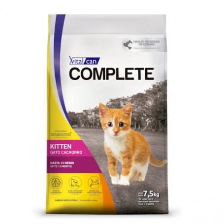 Complete Gato Kitten