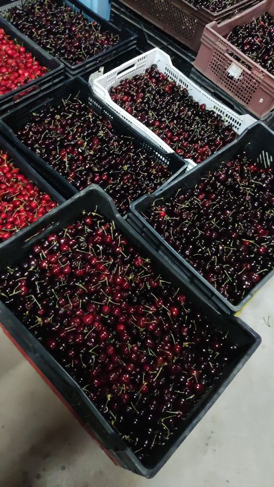 Cerezas caja